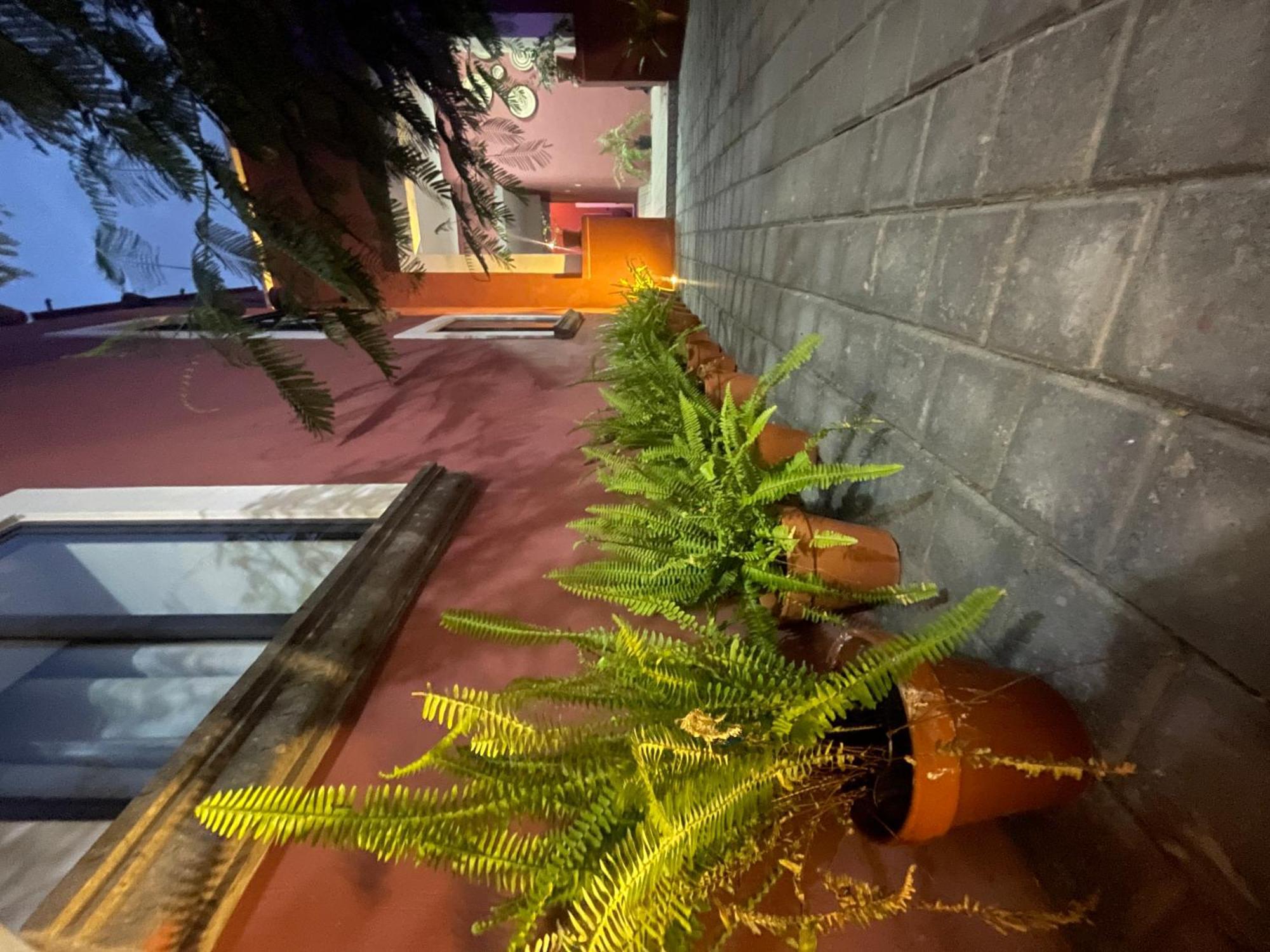Hostel Quinta La Perla Guadalajara Exteriér fotografie