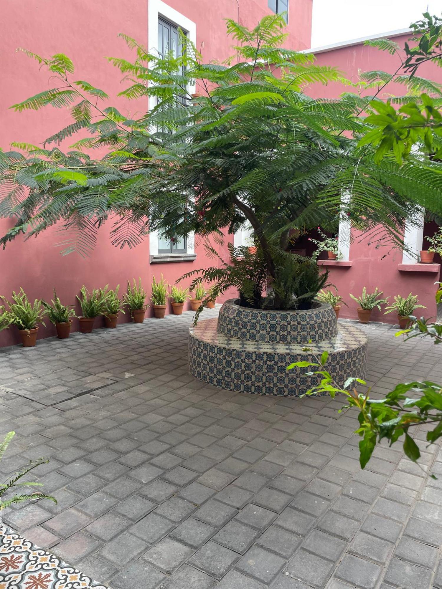 Hostel Quinta La Perla Guadalajara Exteriér fotografie